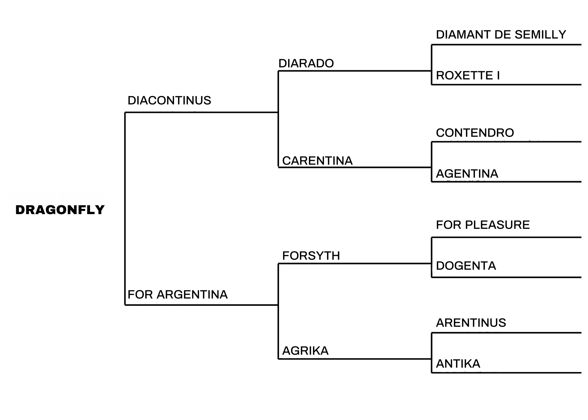 Dragonfly (horse pedigree)