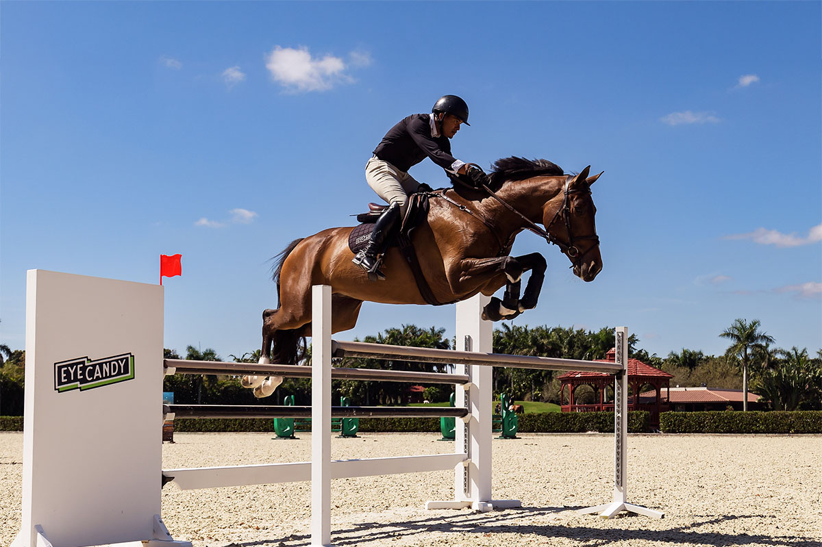 Eye Candy Jumpers - Horses