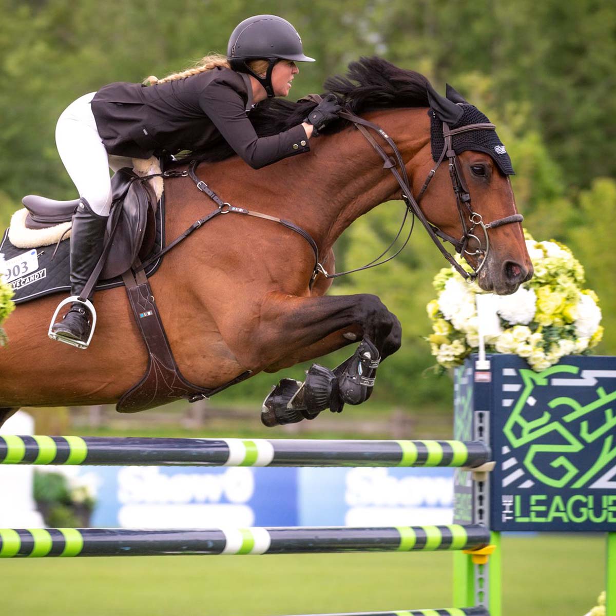 Cat Ninja - Broodmare