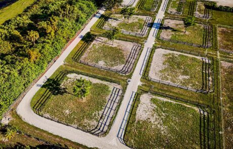 Paddocks