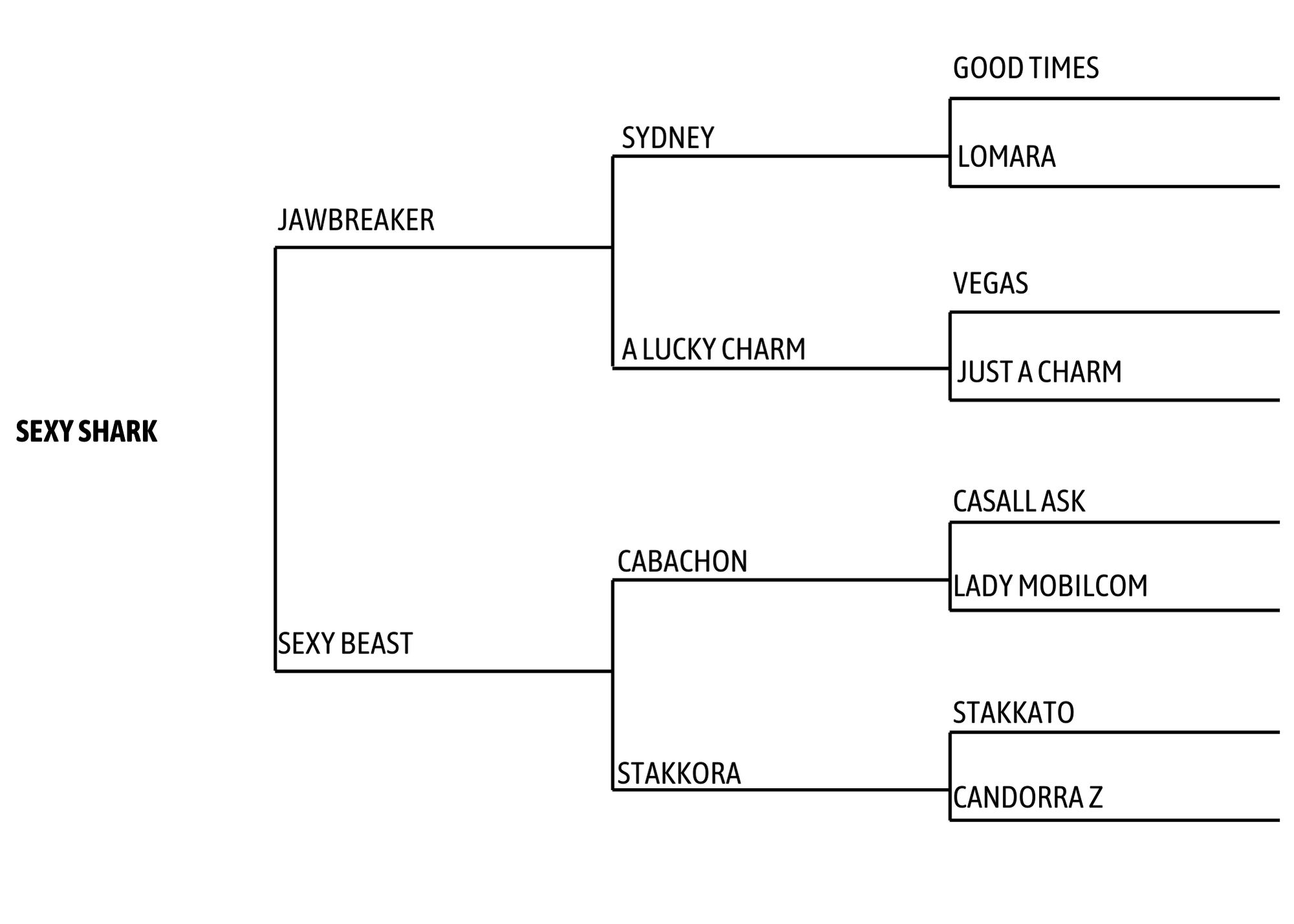 Sexy Shark Pedigree