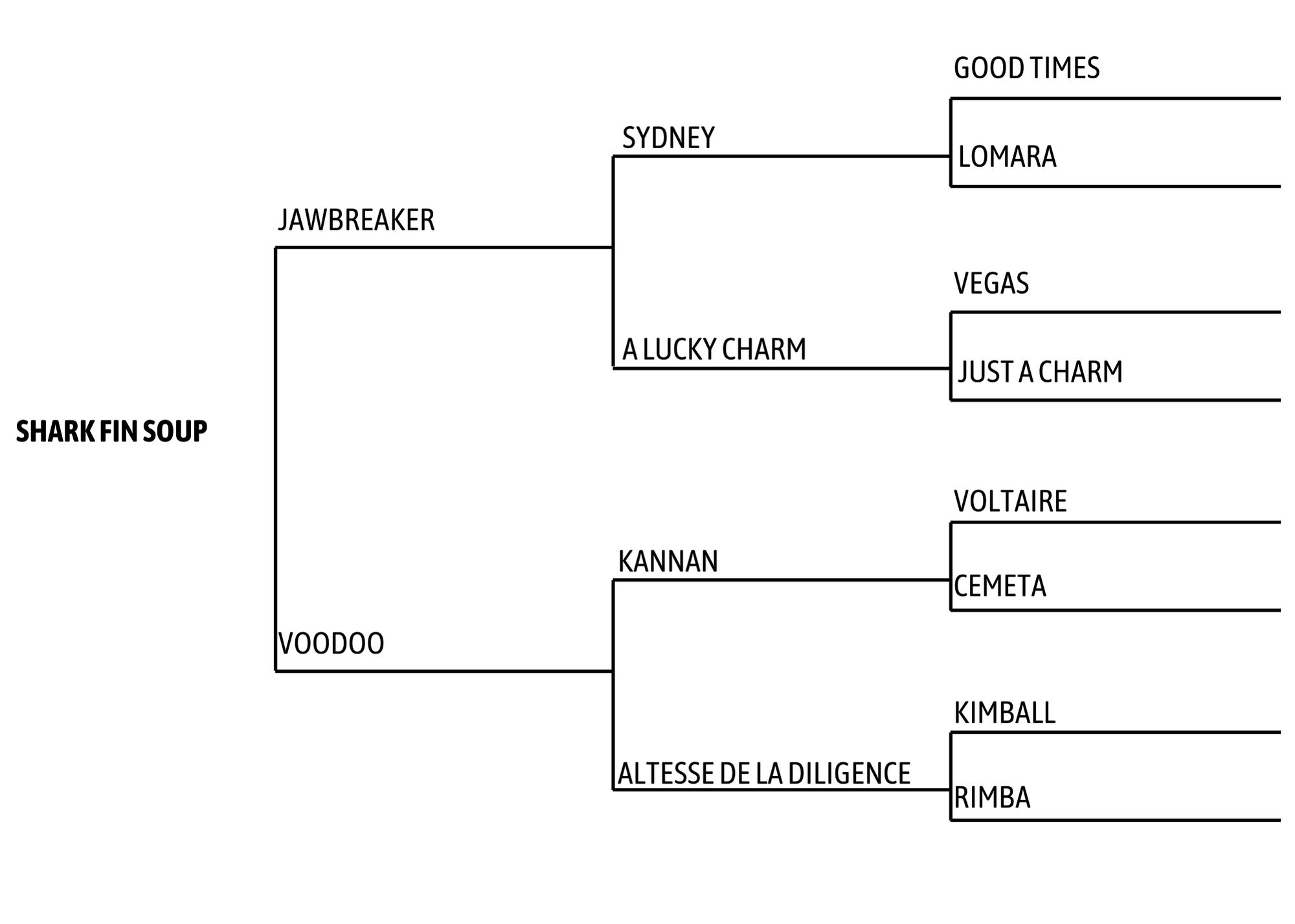 SHARK FIN SOUP Pedigree
