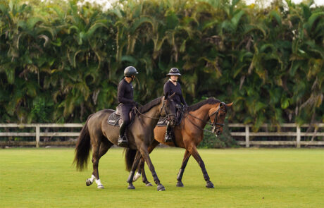 Riding grass field - Eyecandyland